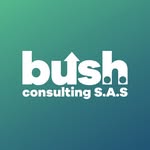 Outsourcing TI y Ciberseguridad Empresarial 2026 | Berruit 16 Logo de Bush Consulting